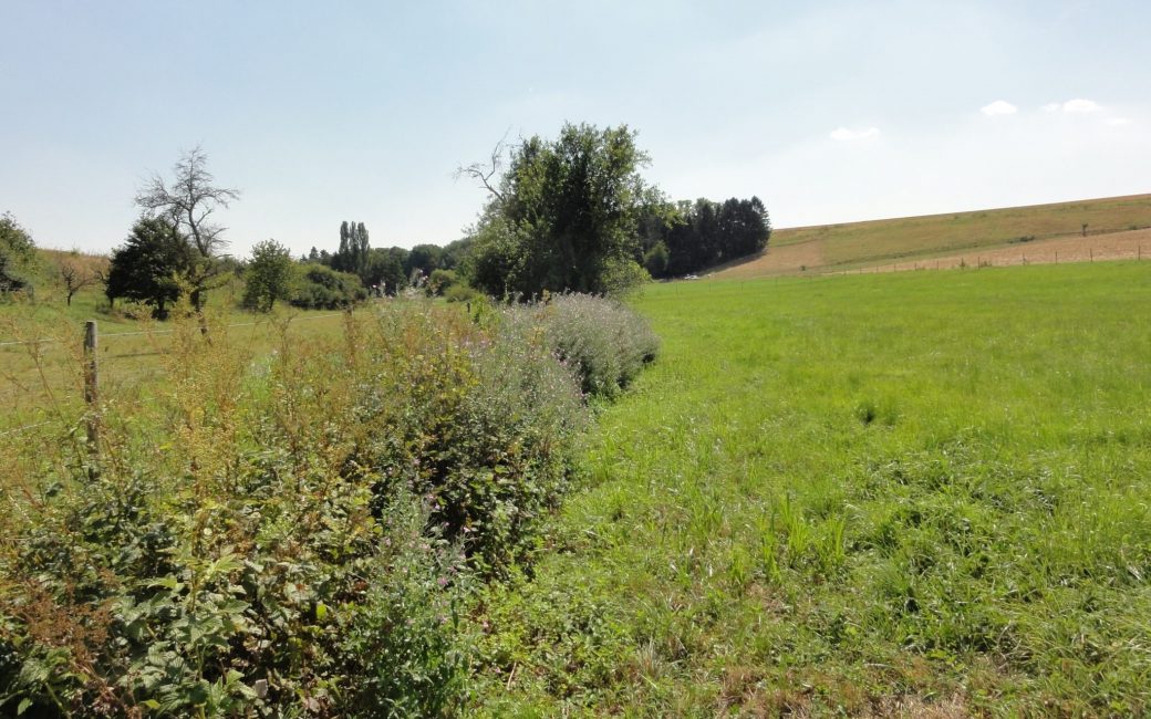 Einzugsgebiet des Wäschbachs